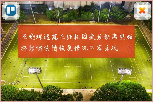 王晓瑞透露王钰栋因疲劳缺席熊猫杯彭啸伤情恢复情况不容乐观