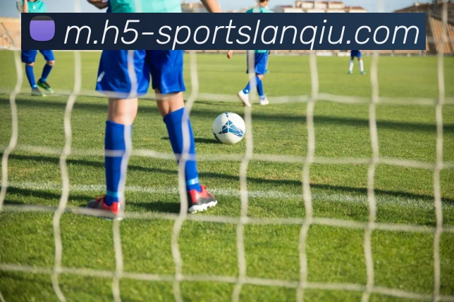 篮球赌注平台生态图